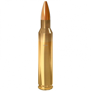 Lapua .223 Remington 55gr FMJ Ammo 4315040