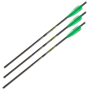 ALLEN XD300 20" Crossbow Bolt, 3Pk .003
