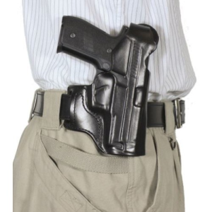 DESANTIS The T-Gat Slide (Right) Sig P229R - Desantis