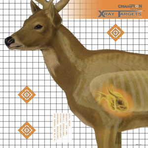 CHAMPION Targets, X-ray Deer 25x25 6pk