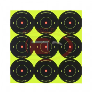 BIRCHWOOD Casey Shoot-n-c 2" Bull's-eye Target - 108 Targets