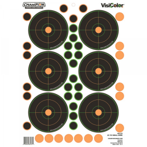 CHAMPION 25 Yd Sm Bore 5pk W/90 Pastors