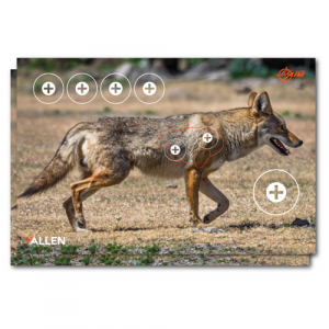 ALLEN Ez Aim Paper Four Color 25x35 Coyote, 2 Pack