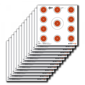 ALLEN Ez Aim Paper 12x12 11 Spot Indoor, 13 Pack