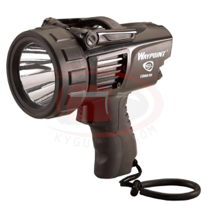 STREAMLIGHT Waypoint 300 120V AC includes mount Black - Streamlight