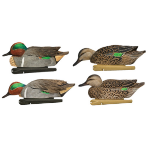 AVIAN-X Topflight Teal Species MultiColor