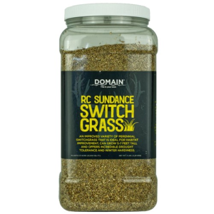 DOMAIN OUTDOORS Sundance Switchgrass 5 lb
