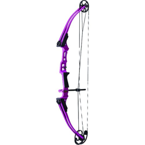 GENESIS ARCHERY Mini RH Purple