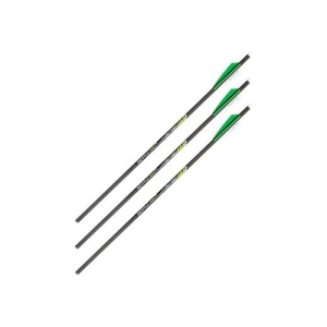 ALLEN CX600 22" Crossbow Bolt, 3Pk .006