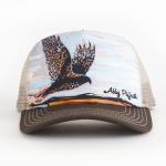 Art 4 All by Abby Paffrath - Red Tail Hawk