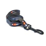 Wingo Dog Leash | RepYourWater Colorado Cutthroat