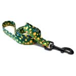 Wingo Dog Leash | Brook Trout