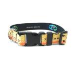 Wingo Dog Collar | Cutthroat Trout | Small/Medium