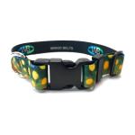 Wingo Dog Collar | Brook Trout | Small/Medium