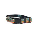 Wingo Dog Collar | DeYoung Brook Trout | S/M