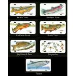 Dave Whitlock Art License Plates | Dragonfly