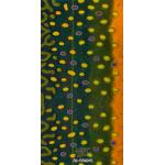 Montana Fly Company Fish Gaiter - Montana Fly Company Maddox's Brook Trout Series 1