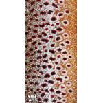 Montana Fly Company Fish Gaiter - Montana Fly Company Sundell's Brown Trout Skin