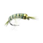Montana Fly Company Beadhead Scud - Olive - Size 16 - 1/2 Dozen