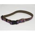 Spiffy Dog Collar | Rainbow Trout | Large