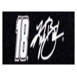 Croakies Original Nascar Sunglass Retainer - Kyle Bush Logo - XL