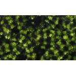 Fly Fish Food Small Stonefly Chenille - Black/Olive