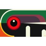 Nate Karnes Wood Duck Flag Decal