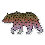 Casey Underwood Bear Rainbow Decal Sticker