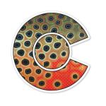 Casey Underwood Colorado Cutthroat Trout Decal Sticker