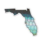 Casey Underwood Florida Tarpon Decal Sticker