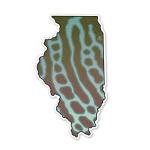 Casey Underwood Illinois Muskie Decal Sticker