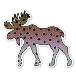 Casey Underwood Moose Rainbow Trout Decal Sticker