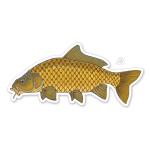 Casey Underwood Common Carp Decal Sticker