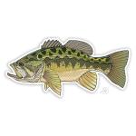 Casey Underwood Largemouth Bass Decal Sticker