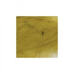 Petitjean CDC Feathers 5 Gram Bags - Yellow (Old)