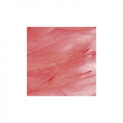 Petitjean CDC Feathers 5 Gram Bags - Red-Fluo