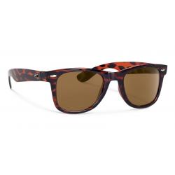 Forecast Ziggie Sunglasses - Tortoise/Brown Polarized