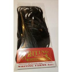 Whiting Farms Bugger pack - Black