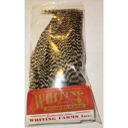 Whiting Farms Bugger pack - Grizzly