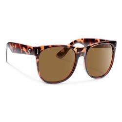 Forecast Avery Sunglasses - Tortoise/Brown Polycarbonate