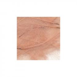 Petitjean CDC Feathers 1 Gram Bags | Pink