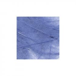 Petitjean CDC Feathers 1 Gram Bags | Blue Fluorescent