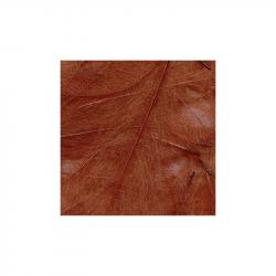 Petitjean CDC Feathers 1 Gram Bags | Red