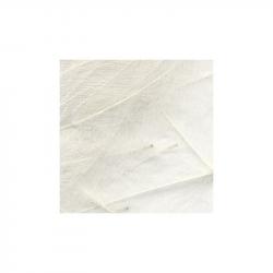 Petitjean CDC Feathers 1 Gram Bags | White