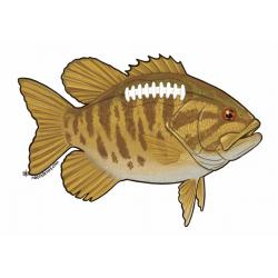 Nate Karnes Smallie Football Decal