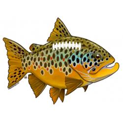 Nate Karnes Football Brown Trout Decal