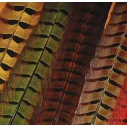 Hareline Ringneck Pheasant Tail Feathers Red - Fly Tying