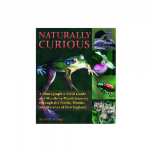 Naturally Curious, A Photographic Field Guide
