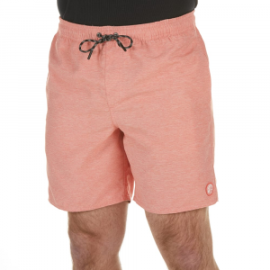 O'neill Young Men's Seabreeze Volley Boardshorts
