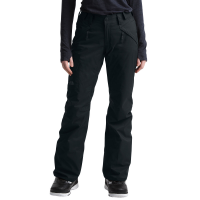 The North Face Women's Insulated Pants